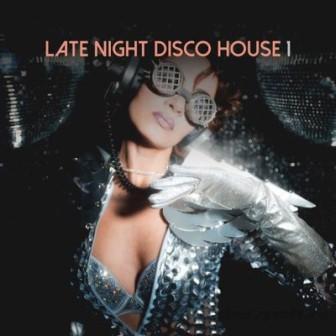 Late Night Disco House- /vol- 1/ скачать Сборник песен торрент