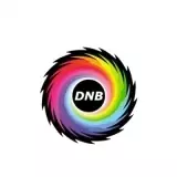 DNB Top 10 volume 2 DNB Top 10 volume 2 торрент