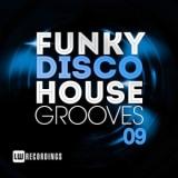 Funky Disco House Grooves vol.09 скачать торрент файл