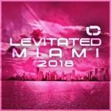 Levitated Miami скачать торрент файл