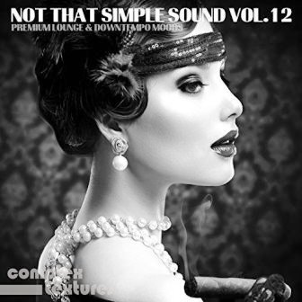 Not That Simple Sound vol.12 скачать Сборник песен торрент