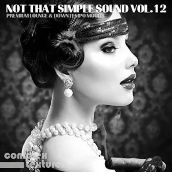 Not That Simple Sound vol.12 музыку скачать Not That Simple Sound vol.12 музыку торрент