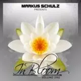 Markus Schulz presents In Bloom Volume One музыку скачать Markus Schulz presents In Bloom Volume One музыку торрент