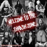 Welcome to the Thrash Zone скачать торрент файл