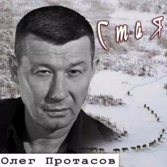 Олег Протасов - Стая музыку скачать Олег Протасов - Стая музыку торрент