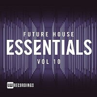 Future House Essentials vol.10 скачать торрент файл