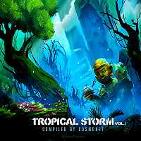 Tropical Storm vol.2 [Compiled by Cosmonet] скачать торрент файл