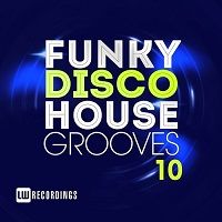 Funky Disco House Grooves vol.10 скачать торрент файл