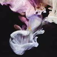 Simian Mobile Disco - Murmurations музыку скачать Simian Mobile Disco - Murmurations музыку торрент