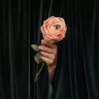Marian Hill - Unusual музыку скачать Marian Hill - Unusual музыку торрент