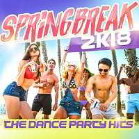 Springbreak 2k18 [The Dance Party Hits] скачать Сборник песен торрент