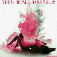 Vocal Drum & Bass Vol.12 [Compiled by ZeByte] скачать торрент файл