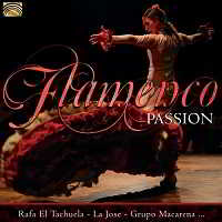 Flamenco Passion скачать Сборник песен торрент