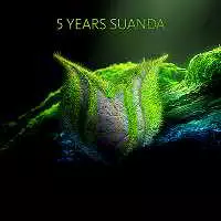 5 Years Suanda 5 Years Suanda торрент