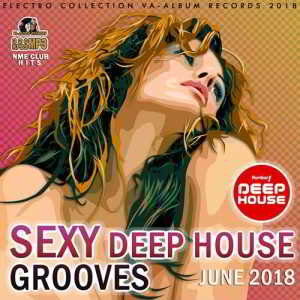 Sexy Deep House Grooves скачать торрент файл