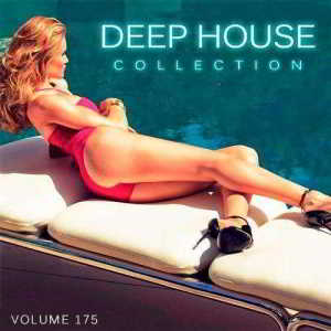 Deep House Collection Vol.175 скачать торрент файл