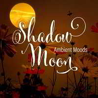 Shadow Moon - Ambient Moods скачать Сборник песен торрент