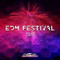EDM Festival 2018 EDM Festival 2018 торрент