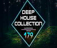 Deep House Collection Vol.179 скачать Сборник песен торрент