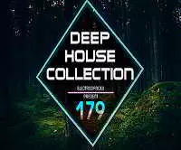 Deep House Collection Vol.179 Deep House Collection Vol.179 торрент