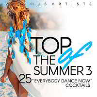 Top Of The Summer [25 Everybody Dance Now Cocktails] Vol.3 скачать Сборник песен торрент