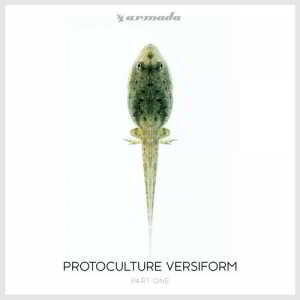 Protoculture - Versiform Part One [Extended Versions] скачать Сборник песен торрент