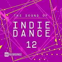 The Sound Of Indie Dance Vol.12 The Sound Of Indie Dance Vol.12 торрент