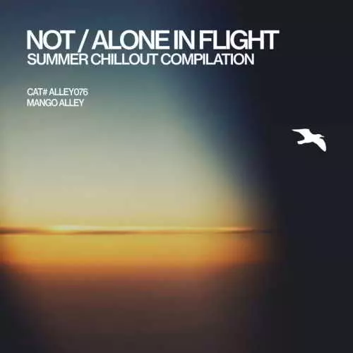 Not/Alone in Flight музыку скачать Not/Alone in Flight музыку торрент