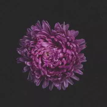 Triple gemini - moon bath музыку скачать Triple gemini - moon bath музыку торрент