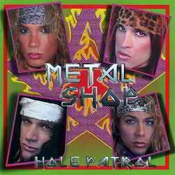 Steel Panther - Metal Skool Hole Patrol Steel Panther - Metal Skool Hole Patrol торрент