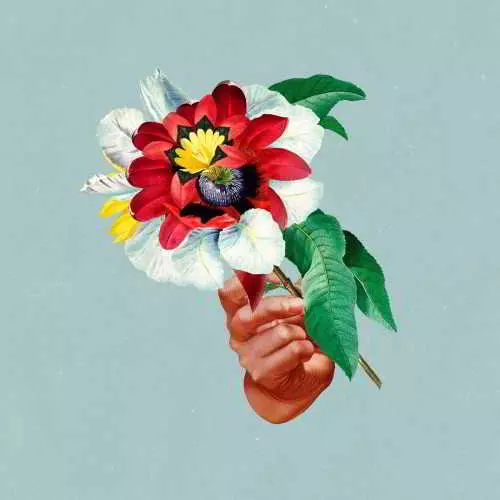 Maribou State - Kingdoms In Colour музыку скачать Maribou State - Kingdoms In Colour музыку торрент