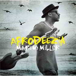 Marcus Miller - Afrodeezia скачать Сборник песен торрент