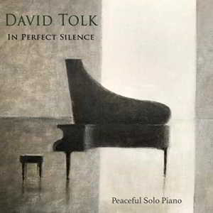 David Tolk - In Perfect Silence скачать Сборник песен торрент