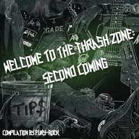 Welcome to the Thrash Zone: Second Coming скачать торрент файл