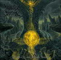 Molested Divinity - Desolated Realms Through Iniquity скачать Сборник песен торрент