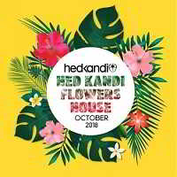 Hedkandi Flowers House: October Set скачать торрент файл