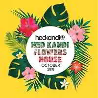 Hedkandi Flowers House: October Set музыку скачать Hedkandi Flowers House: October Set музыку торрент