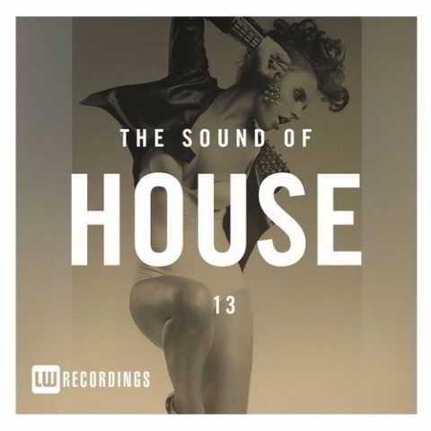 The Sound Of House Vol. 13 скачать Сборник песен торрент