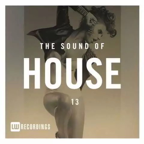 The Sound Of House Vol. 13 музыку скачать The Sound Of House Vol. 13 музыку торрент