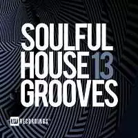 Soulful House Grooves Vol. 13 музыку скачать Soulful House Grooves Vol. 13 музыку торрент
