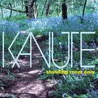 Kanute - Standing Room Only музыку скачать Kanute - Standing Room Only музыку торрент