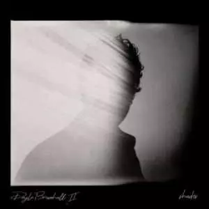 Doyle Bramhall II - Shades музыку скачать Doyle Bramhall II - Shades музыку торрент