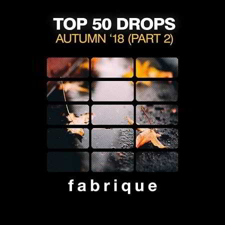 Top 50 Drops Autumn '18 [Part 2] скачать торрент файл