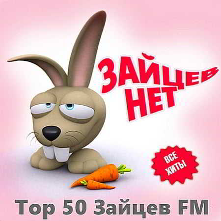 Top 50 Зайцев FM: Ноябрь скачать торрент файл