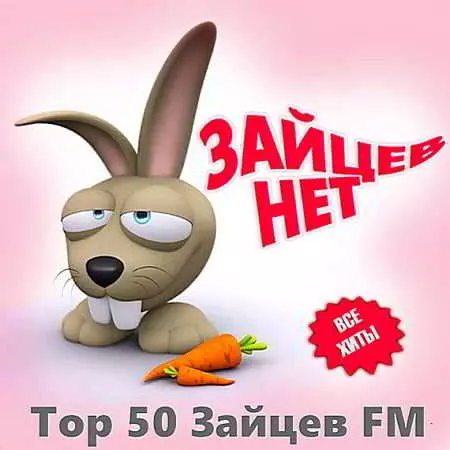 Top 50 Зайцев FM: Ноябрь музыку скачать Top 50 Зайцев FM: Ноябрь музыку торрент