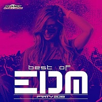 Best Of EDM Party 2019 скачать Сборник песен торрент