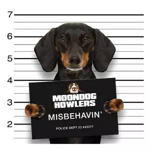 Moondog Howlers - Misbehavin' музыку скачать Moondog Howlers - Misbehavin' музыку торрент