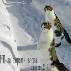 Не за горами весна музыку скачать Не за горами весна музыку торрент