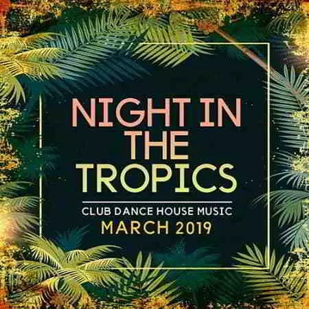 Night In The Tropics Night In The Tropics торрент