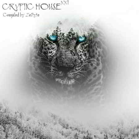 Cryptic House XXI скачать торрент файл